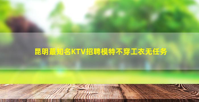 昆明蕞知名KTV招聘模特不穿工衣无任务